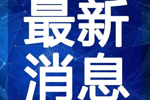 仲达最新爆料图片视频,独家图片视频揭秘幕后真相