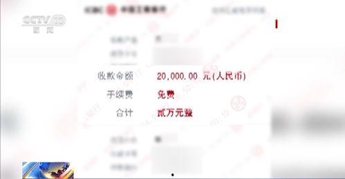 网上爆料新闻收费吗,付费获取独家新闻背后的真相