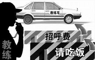驾校教练吃瓜