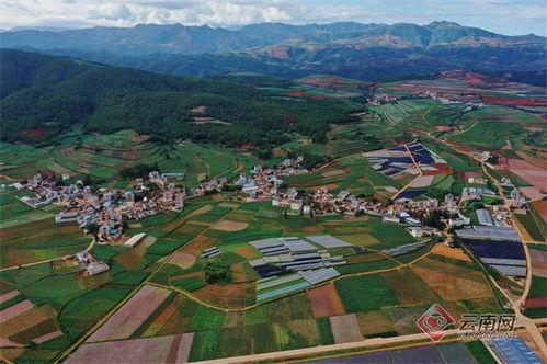 寻甸县玉屏镇新闻头条,聚焦乡村振兴，共绘美好家园新画卷