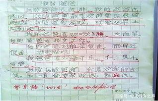 当我成为网红作文素材,我的网络蜕变之旅