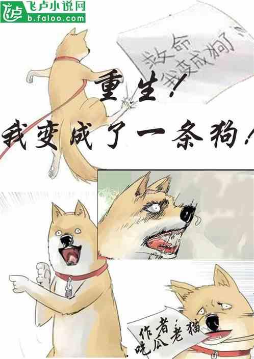 吃瓜小铺小说免费阅读,揭秘娱乐圈背后的秘密