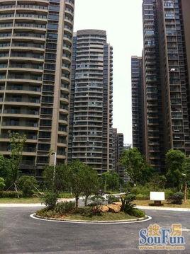 网红8瀚城,揭秘网红新宠，引领潮流生活新风尚