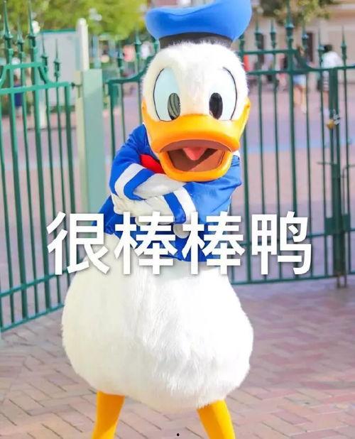 娱乐吃瓜鸭鸭鸭视频
